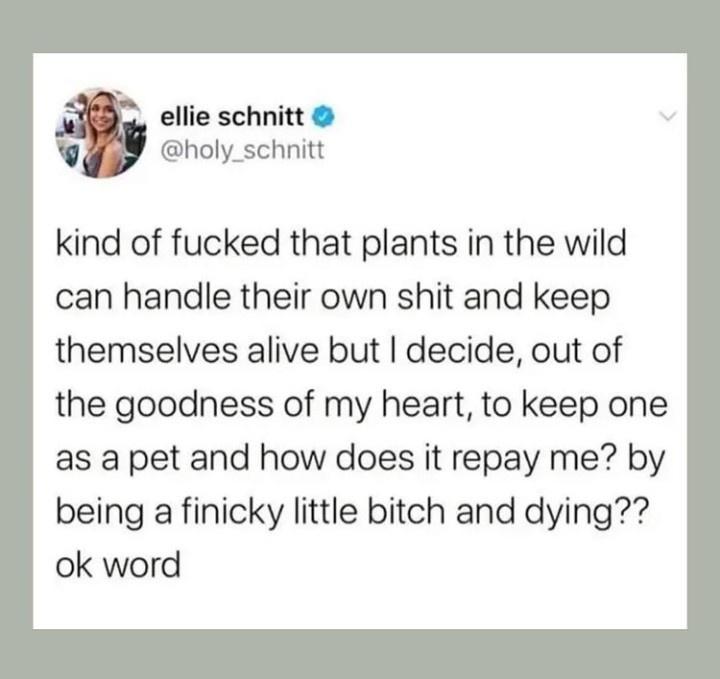wild plant life vs domesticated plant life