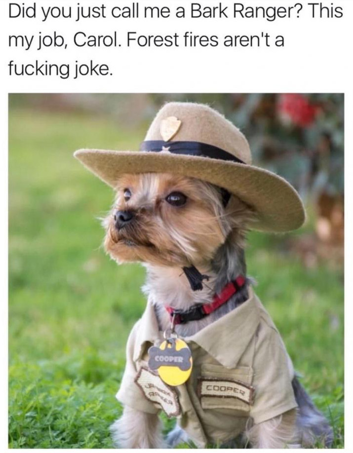 Did you just call me a Bark Ranger?