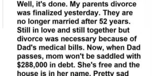 got divorced for financial freedom but still in love. make the american medical system make sense