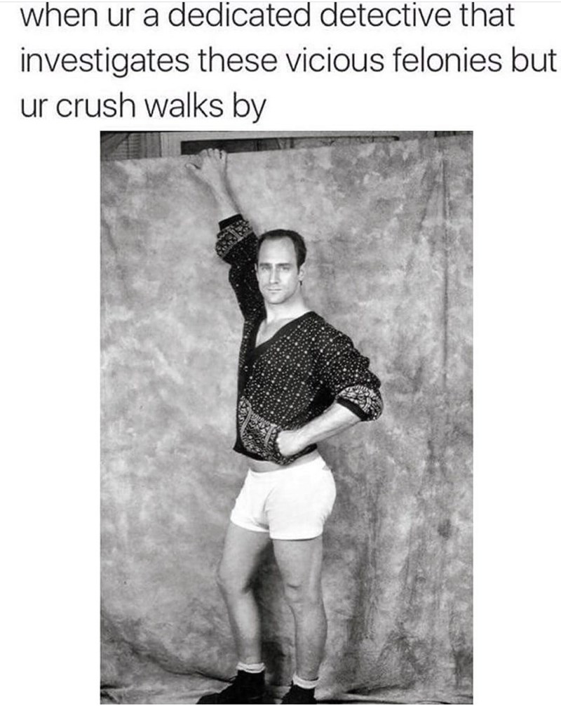 Christopher Meloni Is An Underrated Treasure