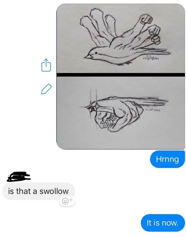 it's a swollow