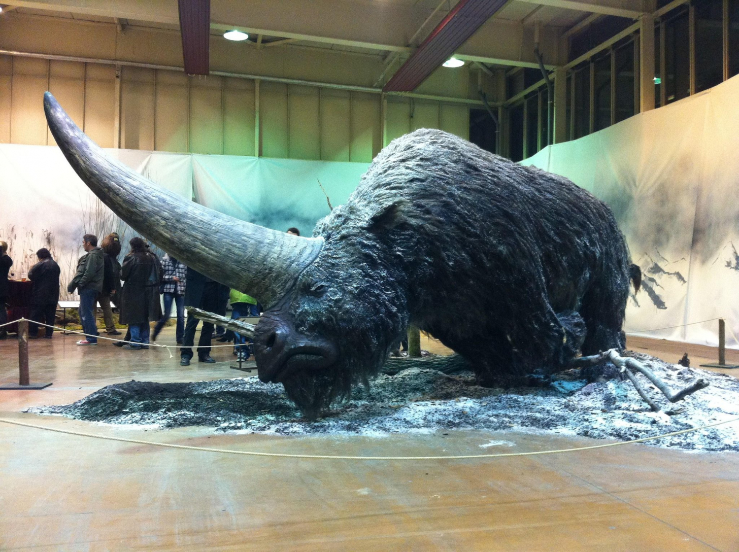 Elasmotherium, also known as the giant siberian unicorn. they did exist!