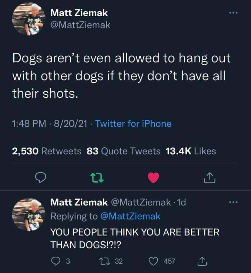 dogs are better than humans proved