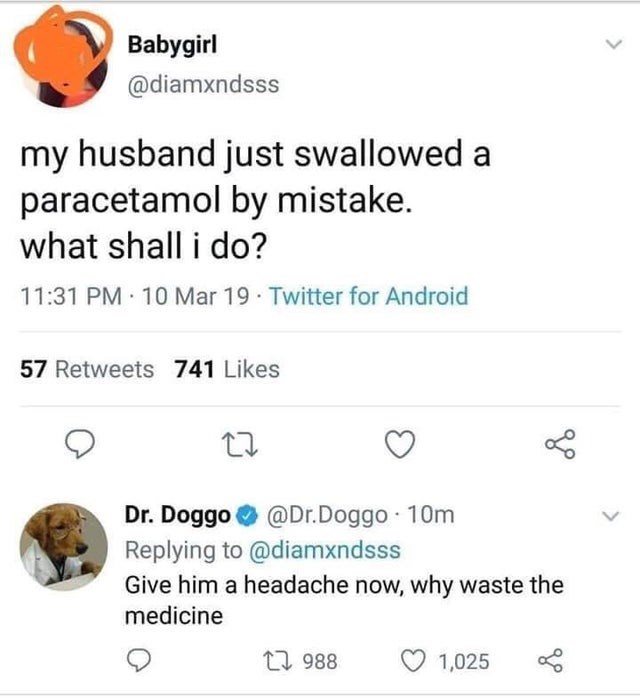 listen to dr. doggo