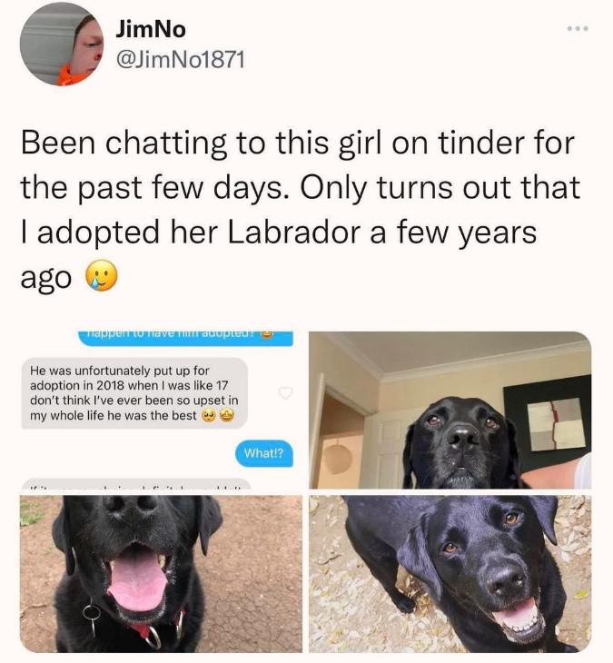 he ghosted her to keep the dog