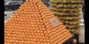 why are the oranges labeled ‘gorillas?’