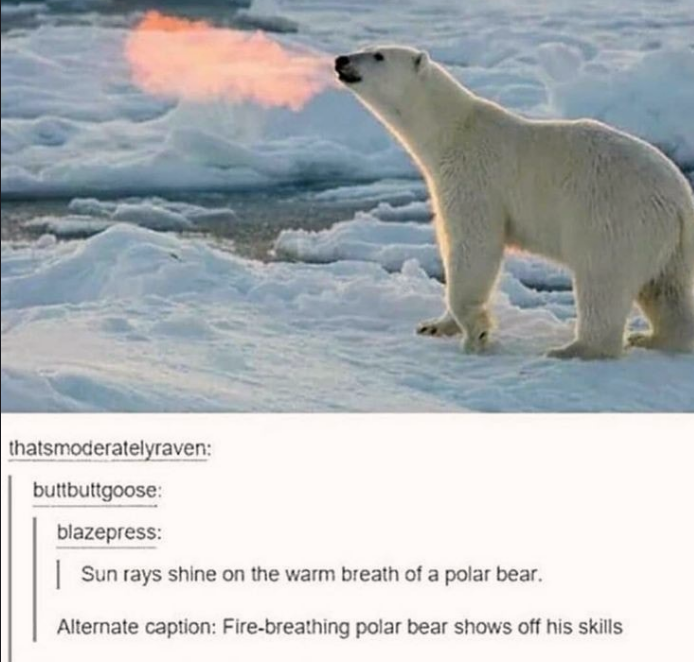 the rare fire breathing polar bear
