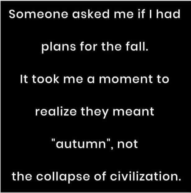 what are your plans for the fall?
