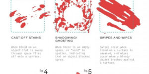 How to analyze a bloody mess.