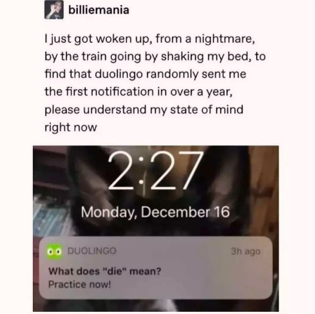duolingo is sentient. and evil