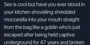 cheese+goblin