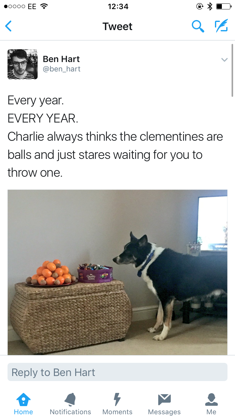 throw charlie a clementine!