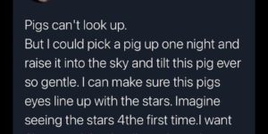 do something nice for a  pig
