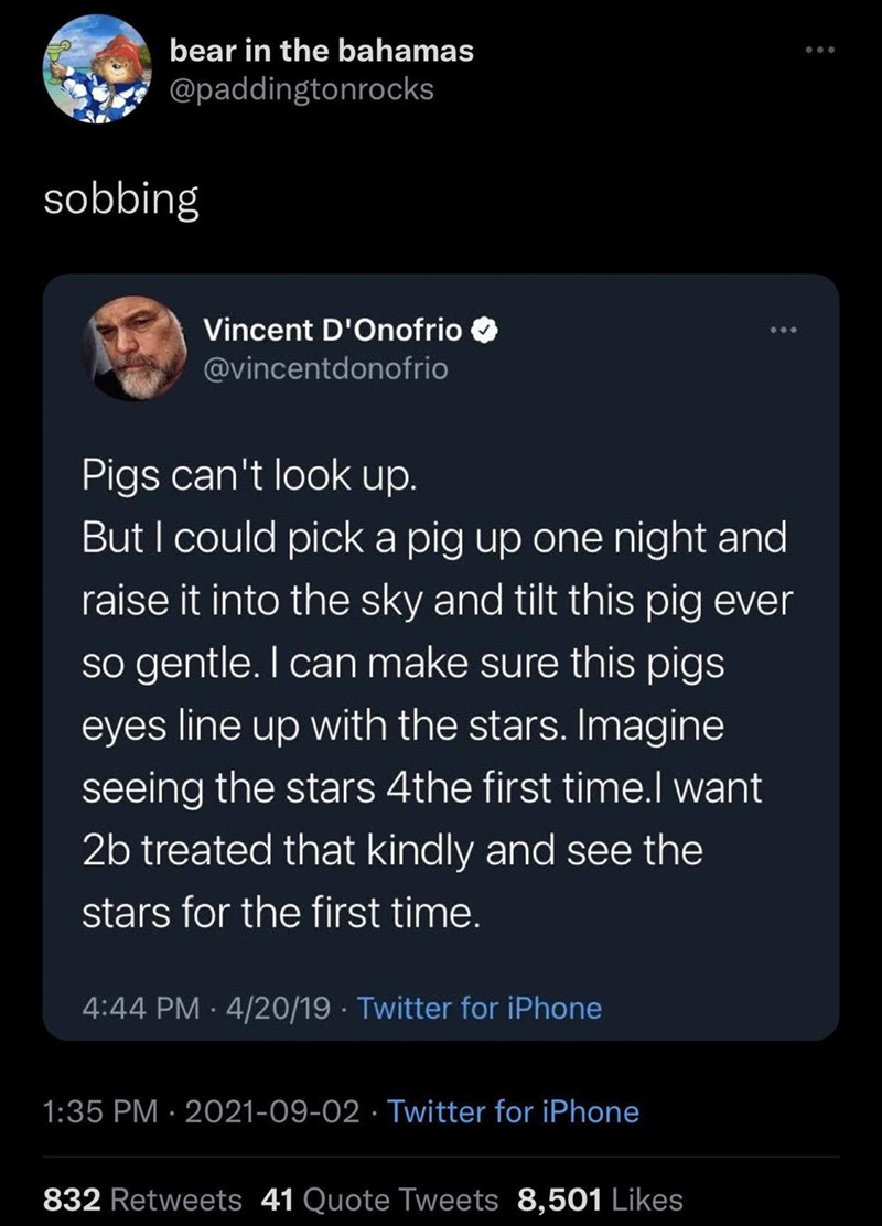 do something nice for a  pig