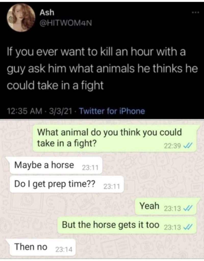 maybe a mini horse?