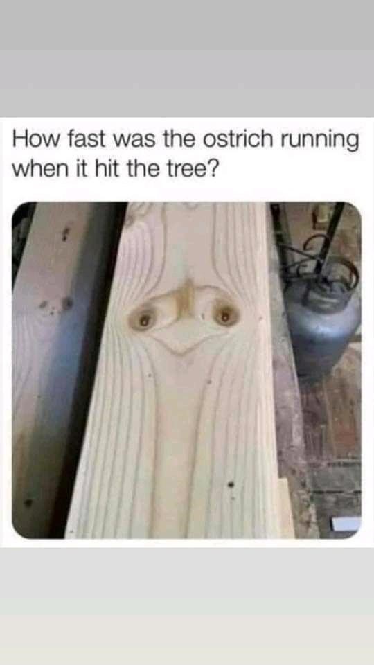 it became one with the tree