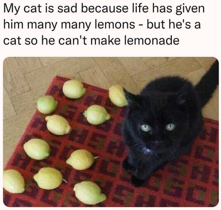 put the lemons on a counter so he can knock them off