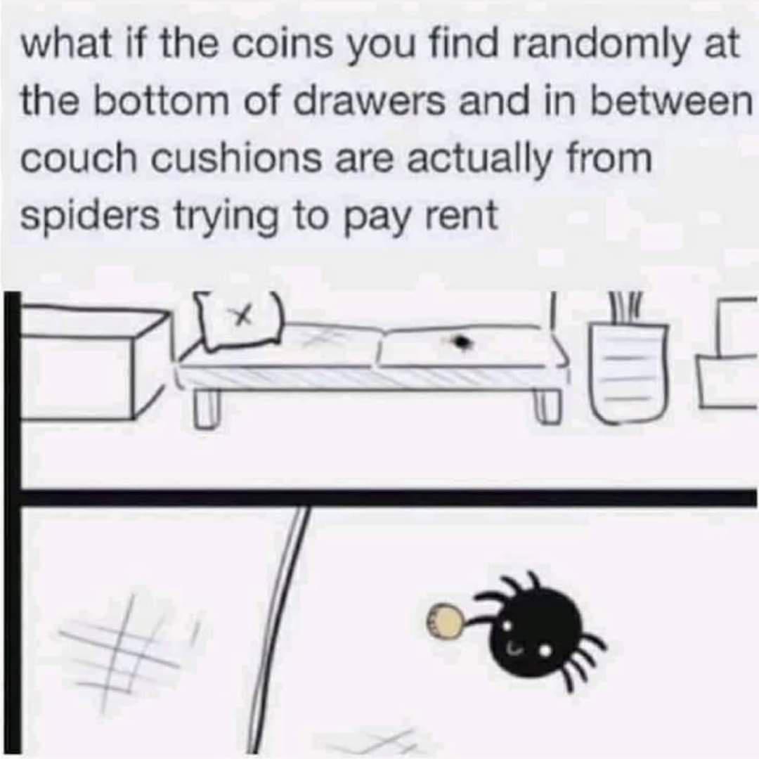 spider tenants