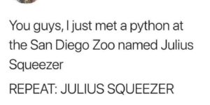 julius squeezer