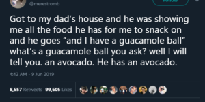 from this day forward, avocados will be know as guacamole balls