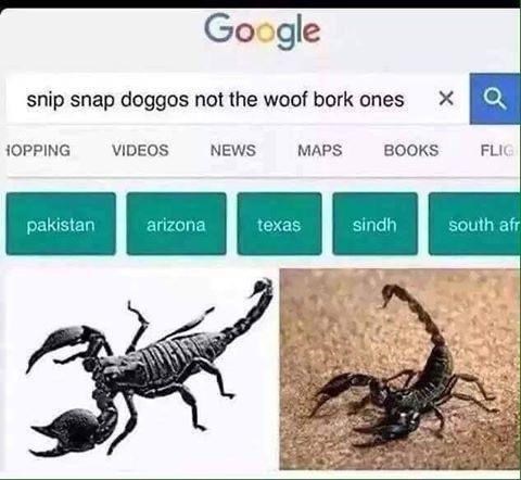 google always knows what you mean