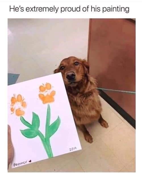 it's pawfection