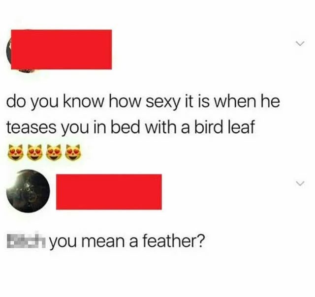 always have a bird leaf ready just in case