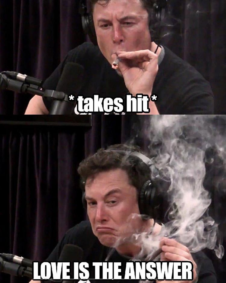 Elon Musk trying to have his best idea yet.