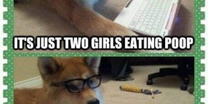 Dog reacts to 2 girls, 1 cup.