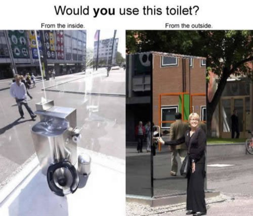 Would you use this toilet?