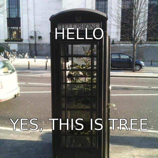 Hello. Yes, this is tree.