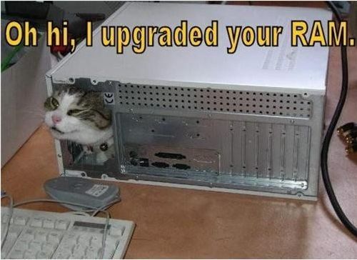 Oh hi, I upgraded your RAM.