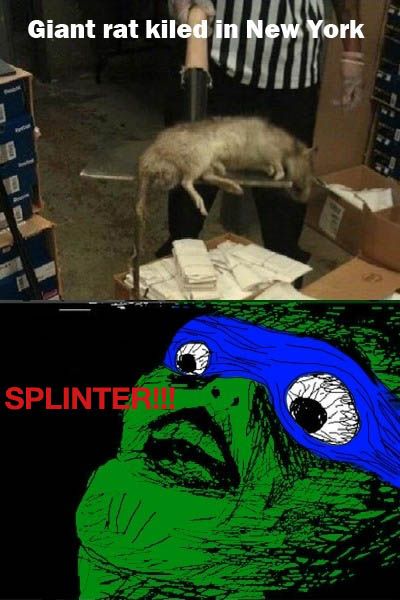 SPLINTER!!!