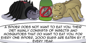The TRUTH About Spiders
