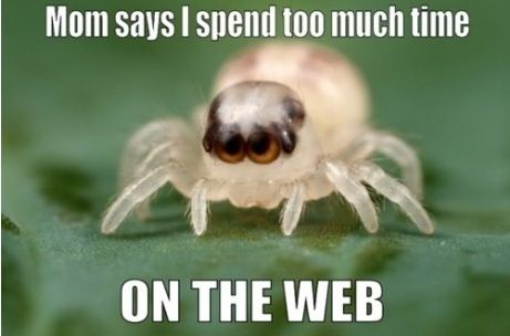 Mom says I spend too much time on the web.
