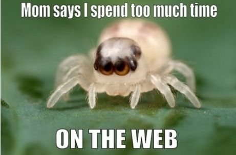 Mom says I spend too much time on the web.