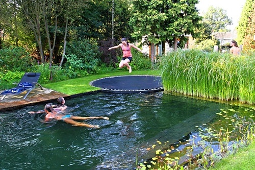 Just a pool disguised as a pond... with a trampoline.