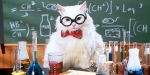 How to flirt, by Chemistry Cat.