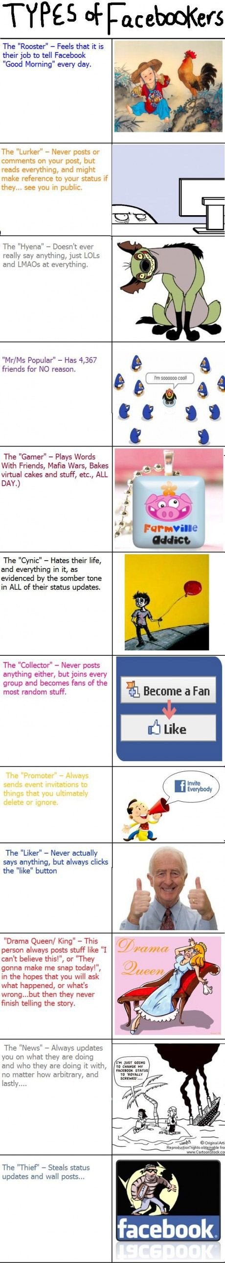 Types of Facebookers.