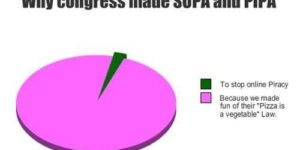 Why congress made SOPA and PIPA.