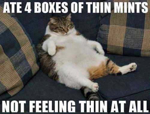 The Thin Mints aren't working.