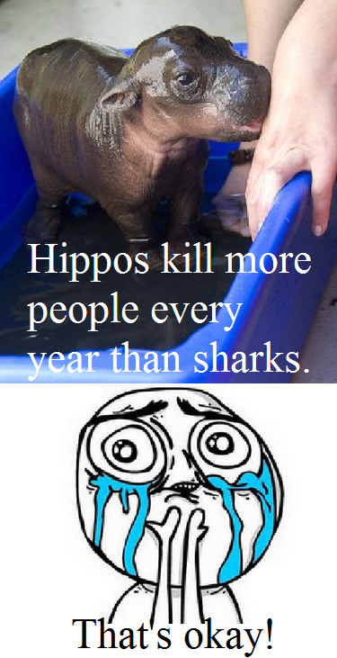 Hippos.