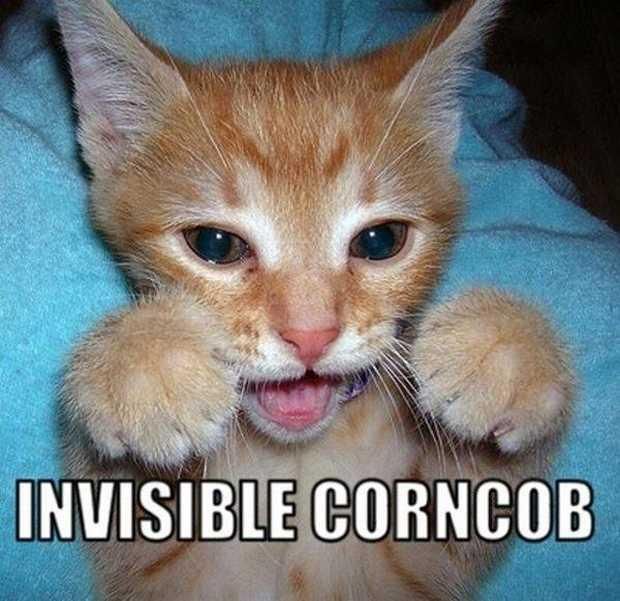 Invisible corncob.