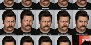 The emotions of Ron Swanson.