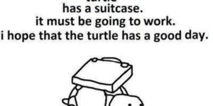 That turtle has a suitcase.