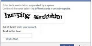 Rogue captcha.