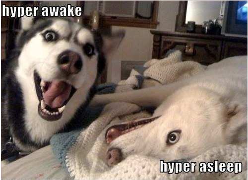 Hyper awake, hyper asleep.