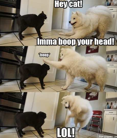 BOOP!