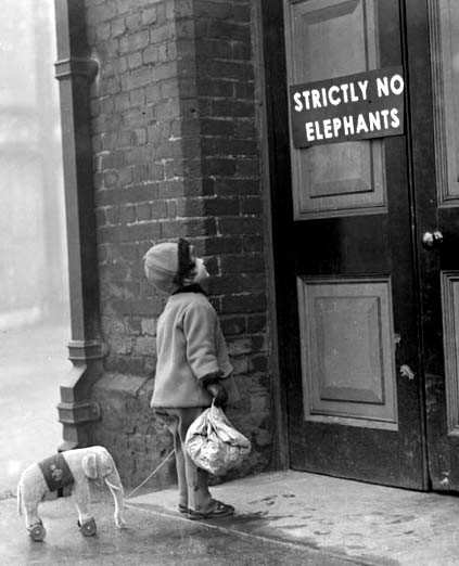 Strictly no elephants.