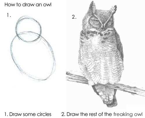 How to draw an owl.